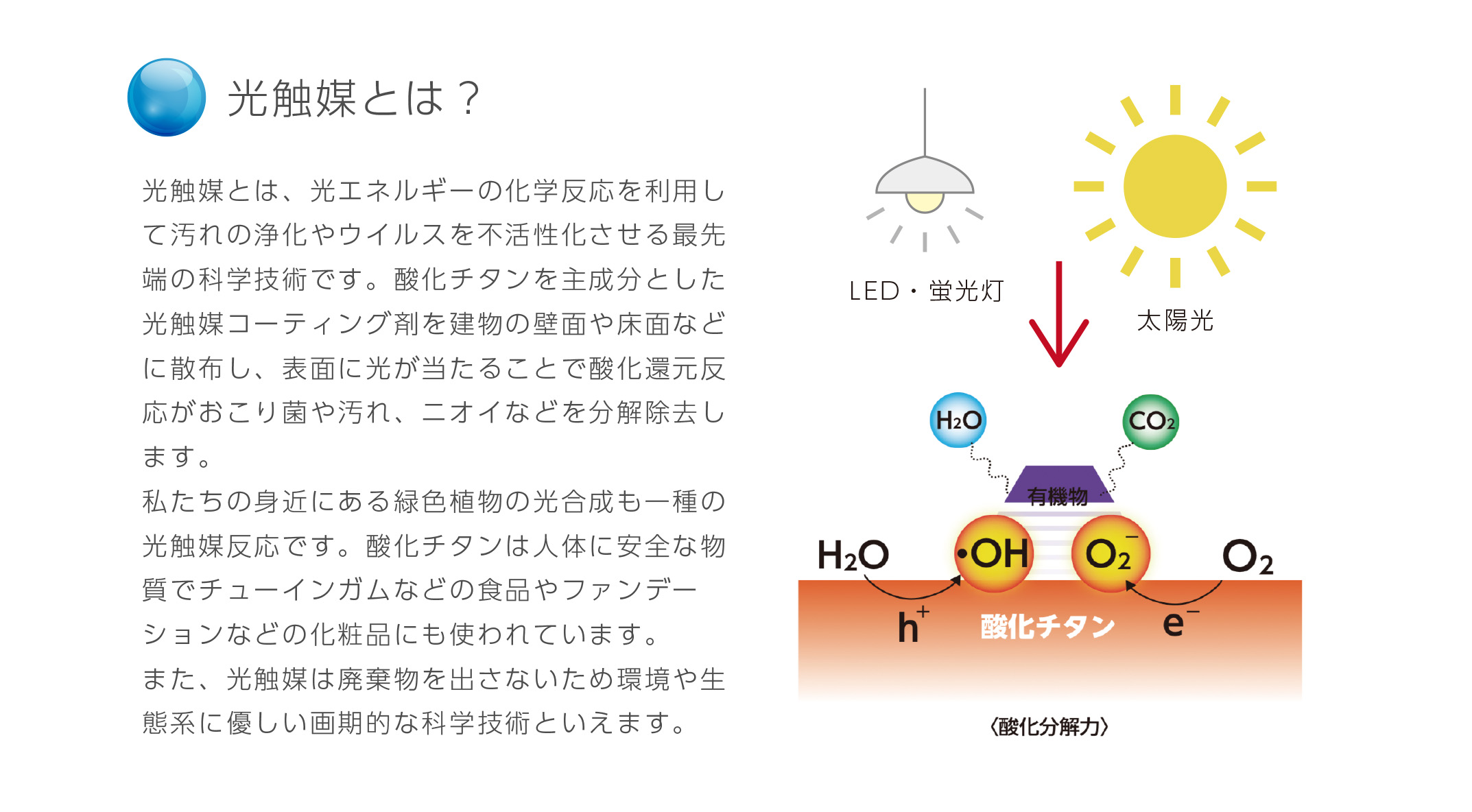 光触媒とは？
