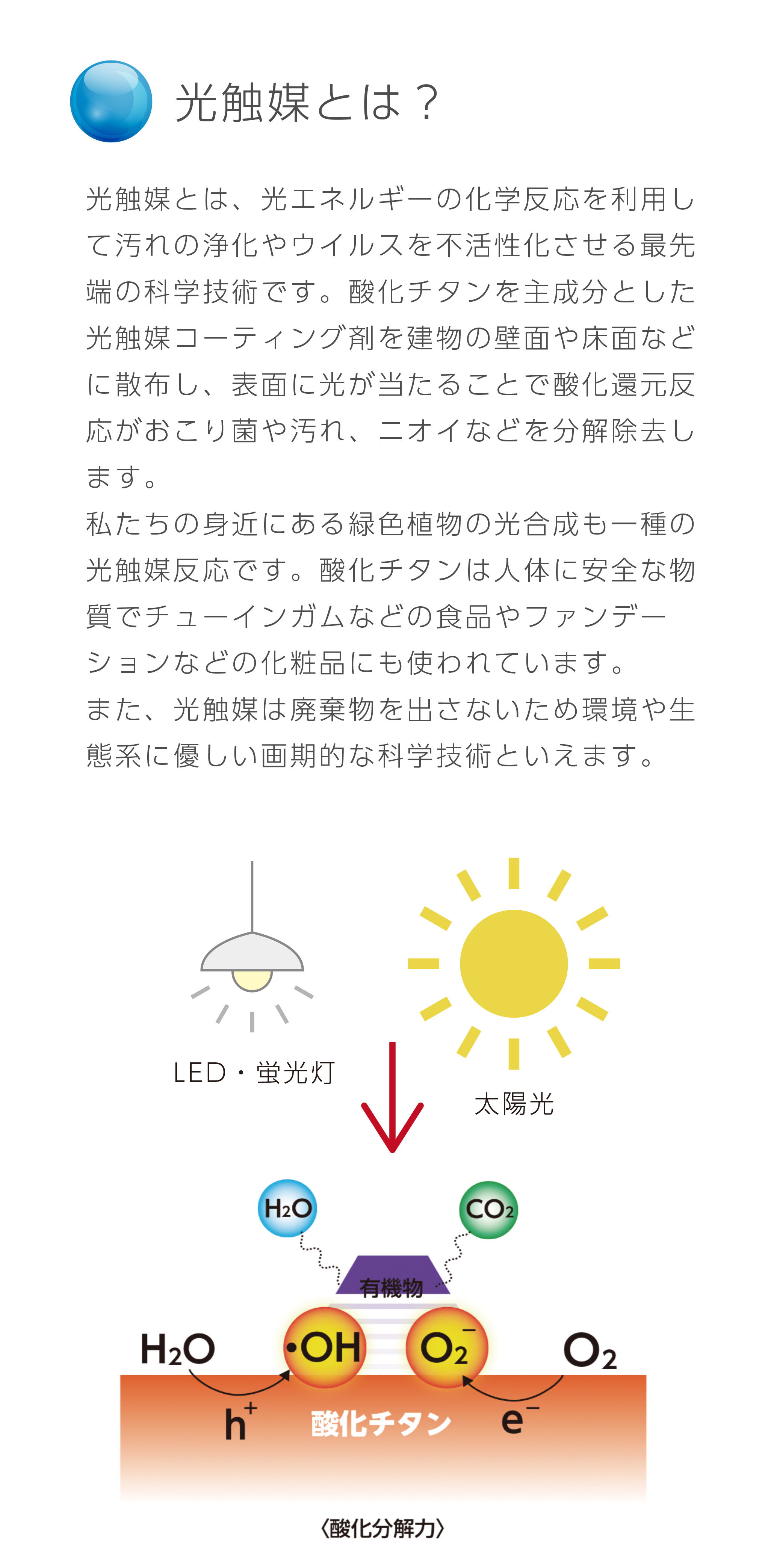 光触媒とは？