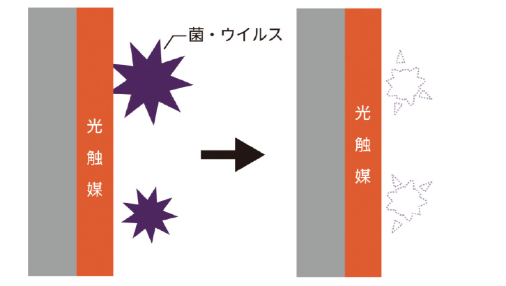 光触媒コーティングの表面にある酸化チタンに光が当たると酸化　分解力によって、菌やウイルスの外膜や膜構成タンパクが破壊されウイルスは不活性化されます。
